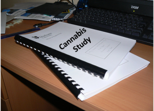 Image for marijuana studies