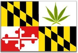 maryland marijuana