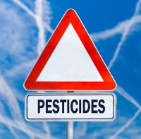 cannabis pesticides