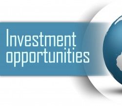 marijauna investments