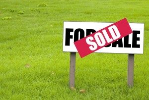 cannabis real estate