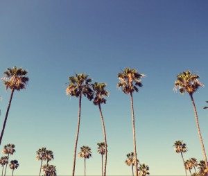 California marijuana