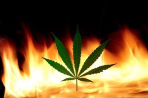 , Proposed national fire safety codes in works for cannabis businesses