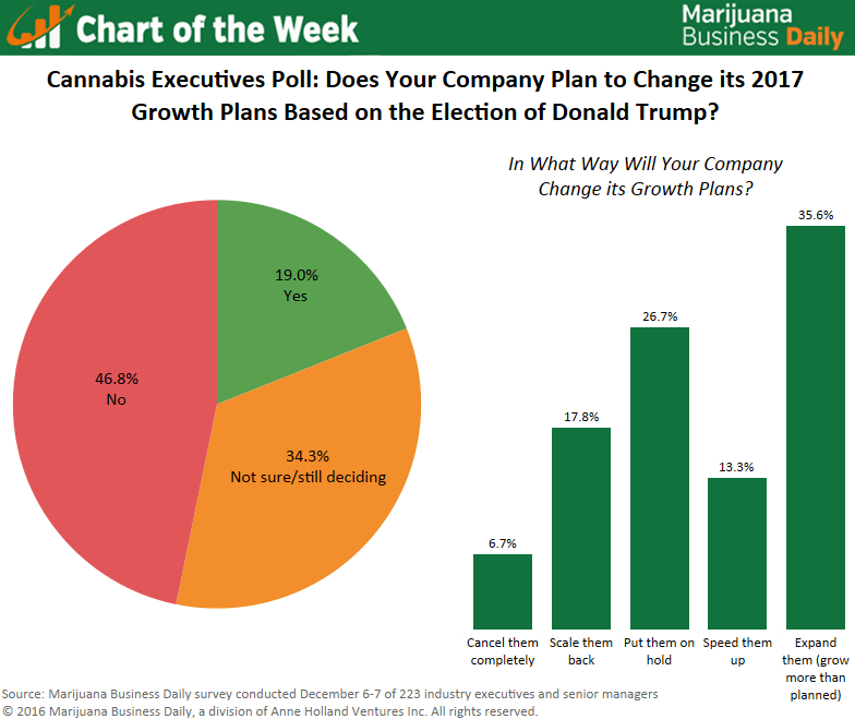 Marijuana Chart