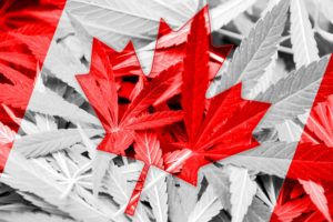 , Canada gets first training program for rec cannabis retail workers