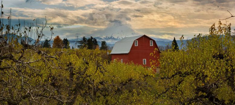 Image of an Oregon farm