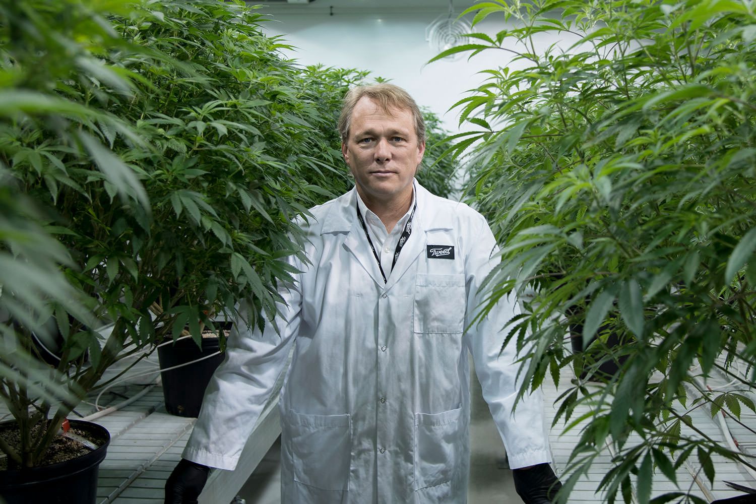 Canopy Growth international sales, Canopy Growth international revenue jumps sixfold to CA$8.2 million