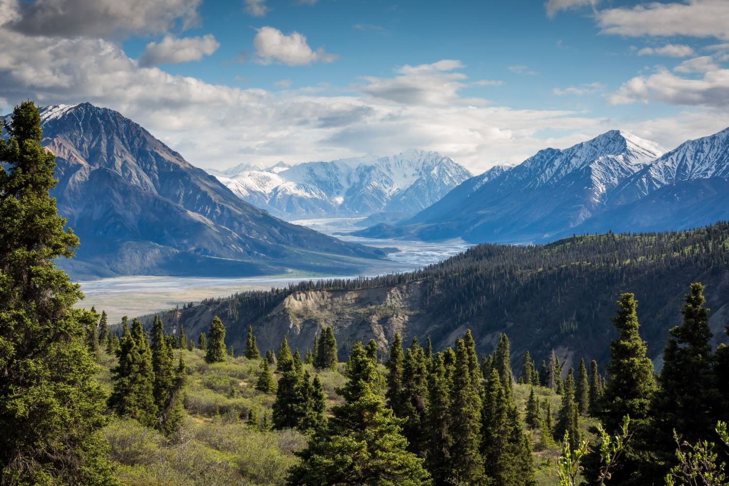 Photo by Kalen Emsley on Unsplash