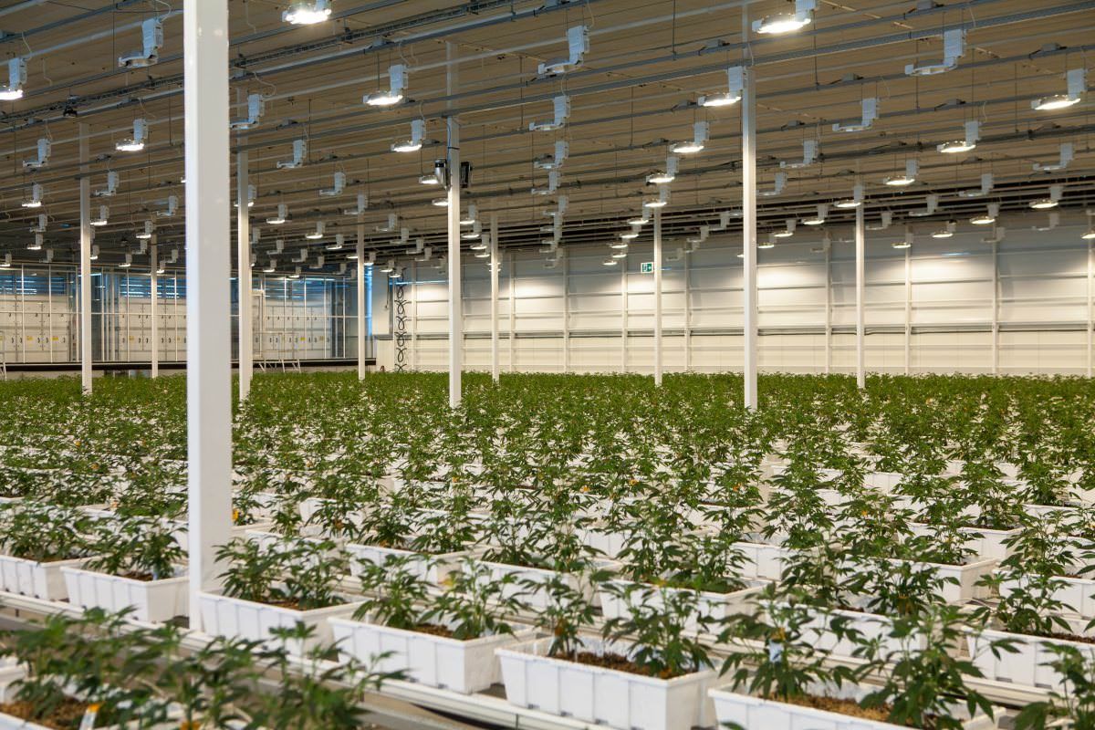 Aurora Sky production, Aurora&#8217;s CA$150 million cannabis greenhouse fully licensed for cultivation, sales