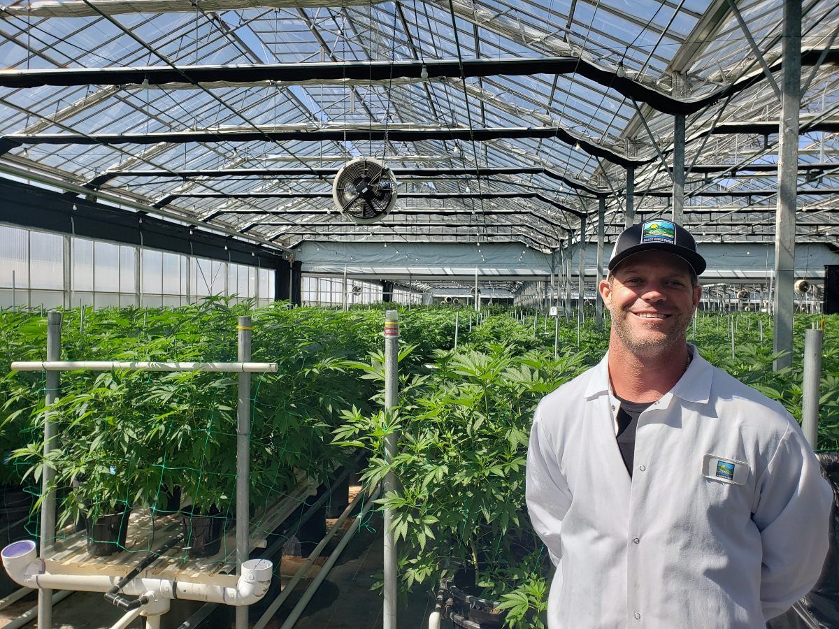 Second US cannabis company uplisted to NYSE to begin trading Tuesday