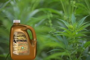 marijuana business, Week in Review: Louisiana medical marijuana kickoff, Dixie-Arizona Iced Tea team, NM reciprocity &#038; more