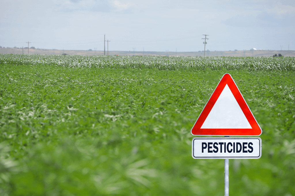 Marijuana pesticides