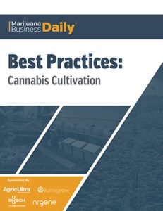 , Marijuana Business Newsletter