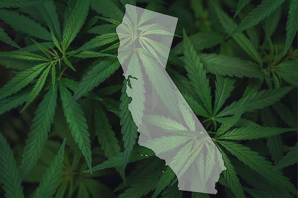 California recreational marijuana in crisis after two years