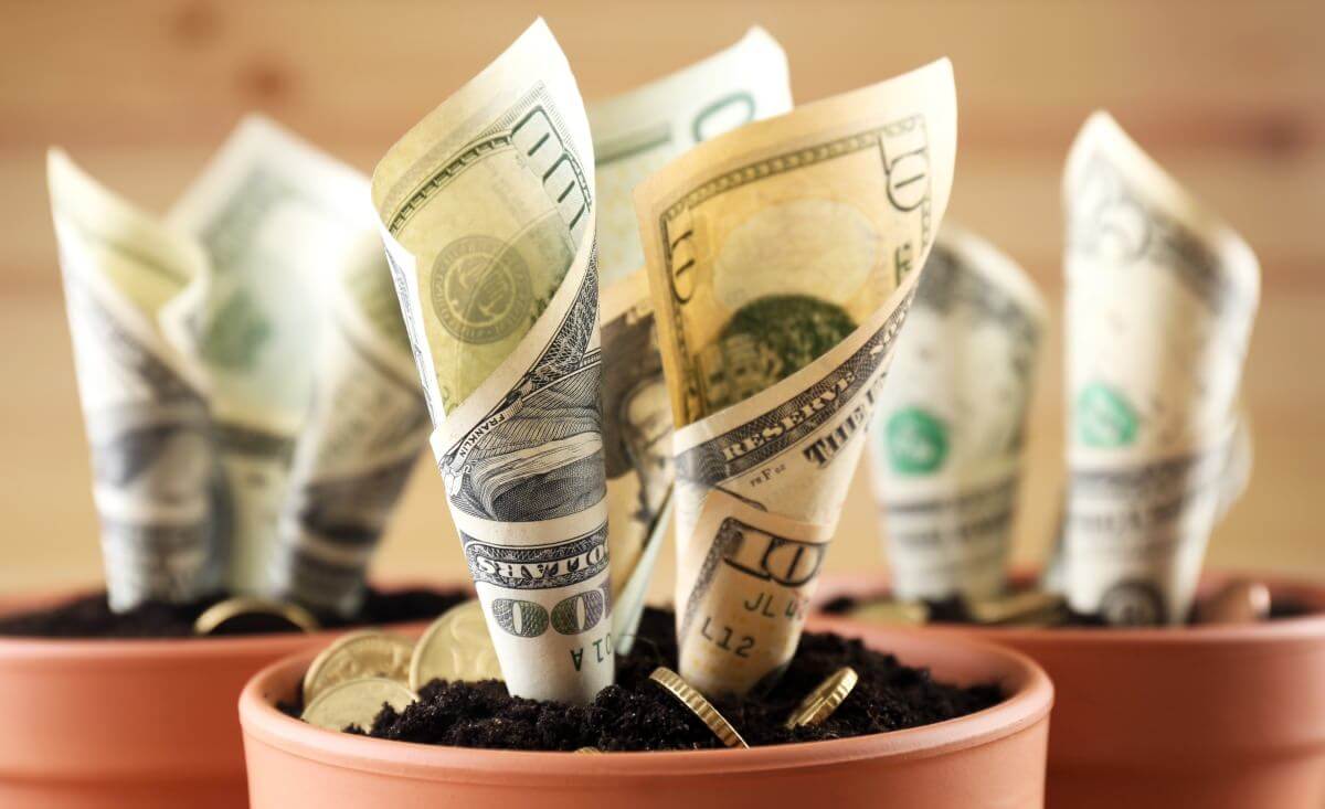 Image of bills growing out of a flower pot