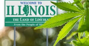 crop-illinois-marijuana-min-300x155.jpg