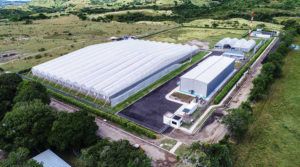Colombia medical marijuana, First medical cannabis sales in Colombia imminent – a year later than expected