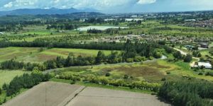 Canopy Growth downsizing, Canopy Growth exits cannabis cultivation on three continents in major international pullback