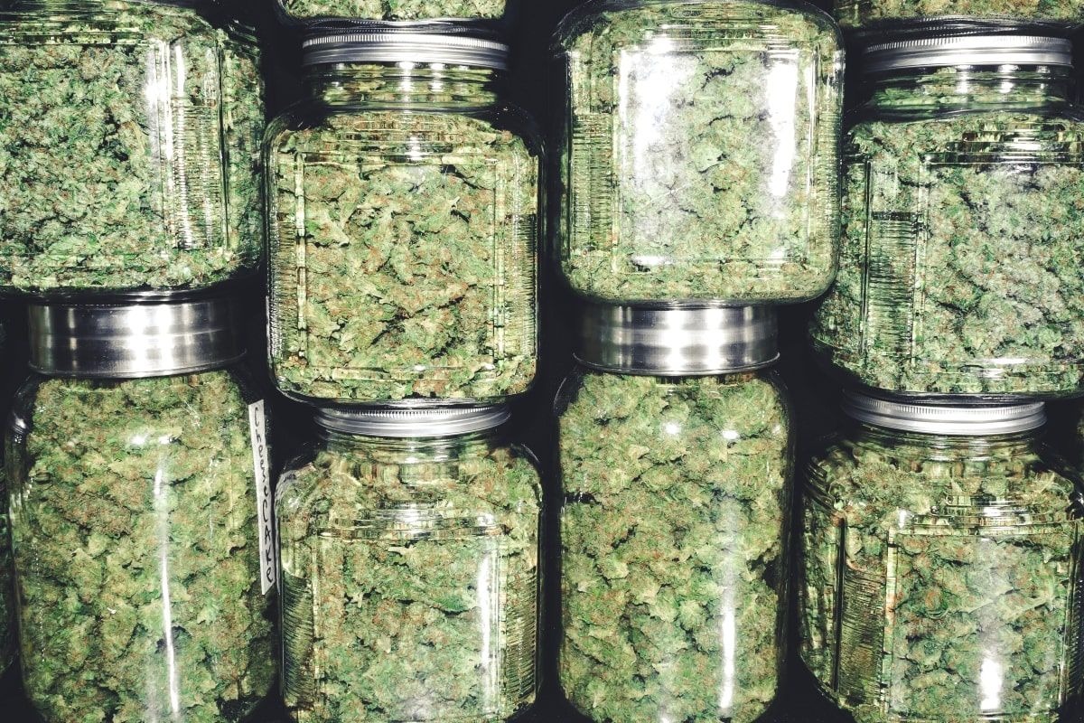 wholesale cannabis prices, New report analyzes US wholesale cannabis prices across the nation