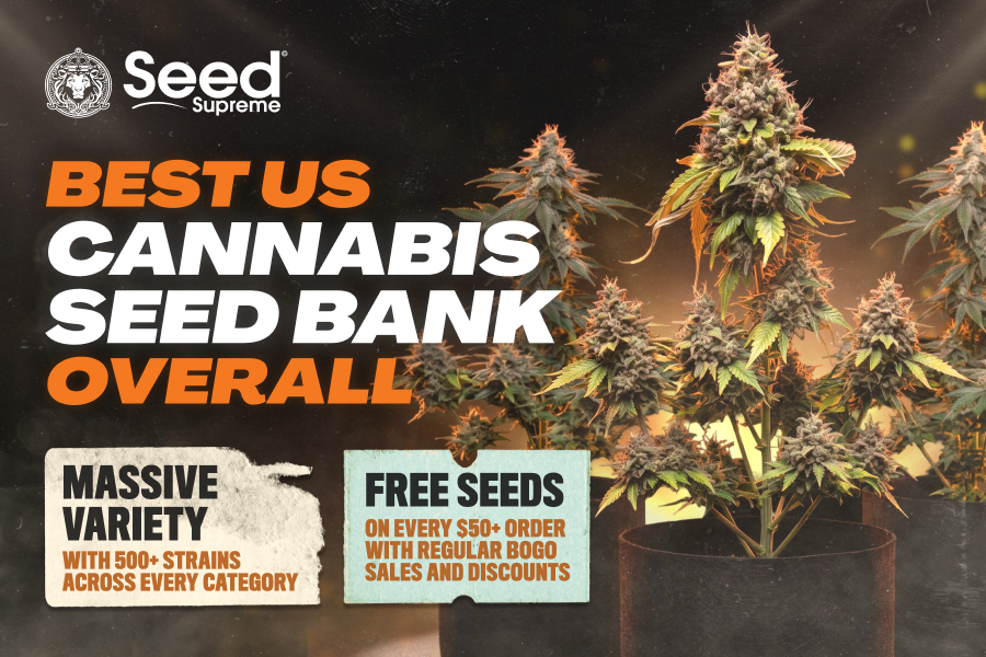 , Best Cannabis Seed Banks In The USA: Top 6 Picks For 2026