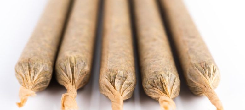 mini marijuana joints