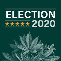 California marijuana elections, California cities, counties OK pro-cannabis measures, paving way to scores of new licenses