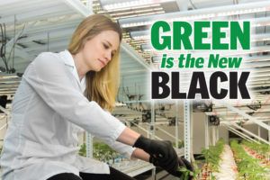 , Green is the New Black