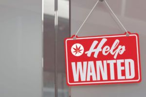 , Hire Learning: Store Manager