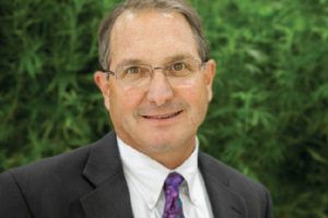 , How to Hire a Lawyer for Your Cannabis Company