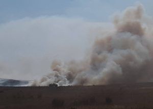 marijuana wildfires, West Coast wildfires threaten hundreds of marijuana businesses, fueling concerns about a &#8216;new normal&#8217;