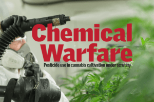 , The Growing Pesticide Problem