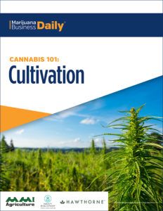 , Cannabis 101: Cultivation Download