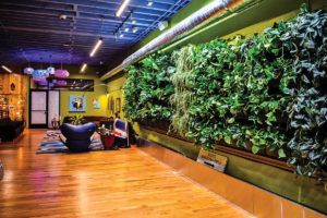 , Retail Business Strategies: Local Booster