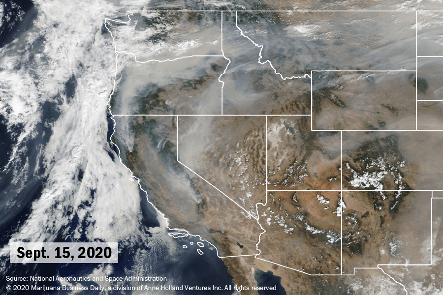 wildfires impact cannabis, Western wildfire smoke delays outdoor cannabis harvest, exposing climate impact