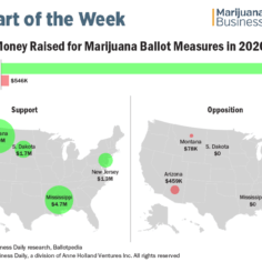Chart showing the money raised for state marijuana ballot measures in 2020