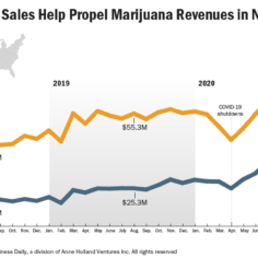 Chart showing marijuana sales, especially the flower category, growing in Nevada
