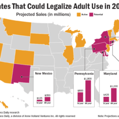 Chart showing states that could legalize adult use in 2021