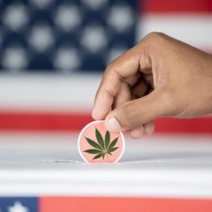 2020 marijuana election results, 2020 election updates, analysis &#038; highlights