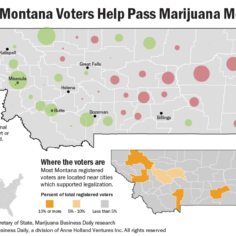 Map showing support and opposition for Montana's 2020 recreational marijuana measure.