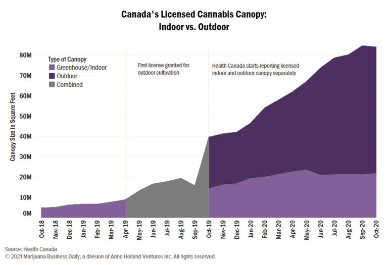 Canada cannabis cultivation, Canada’s ‘croptober’ surge pushes cannabis inventory over 1 million kilograms