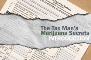 Cover image for MJbizdaily's "The Tax Man's Marijuana Secrets: Introduction"