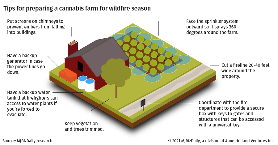 An information graphic showing how to build a defensive space around a cannabis farm.