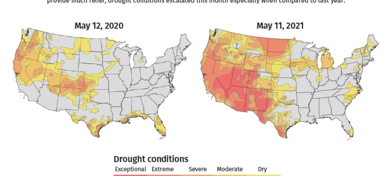 Maps showing the severe drought conditions facing cannabis cultivators this May compared to last year.