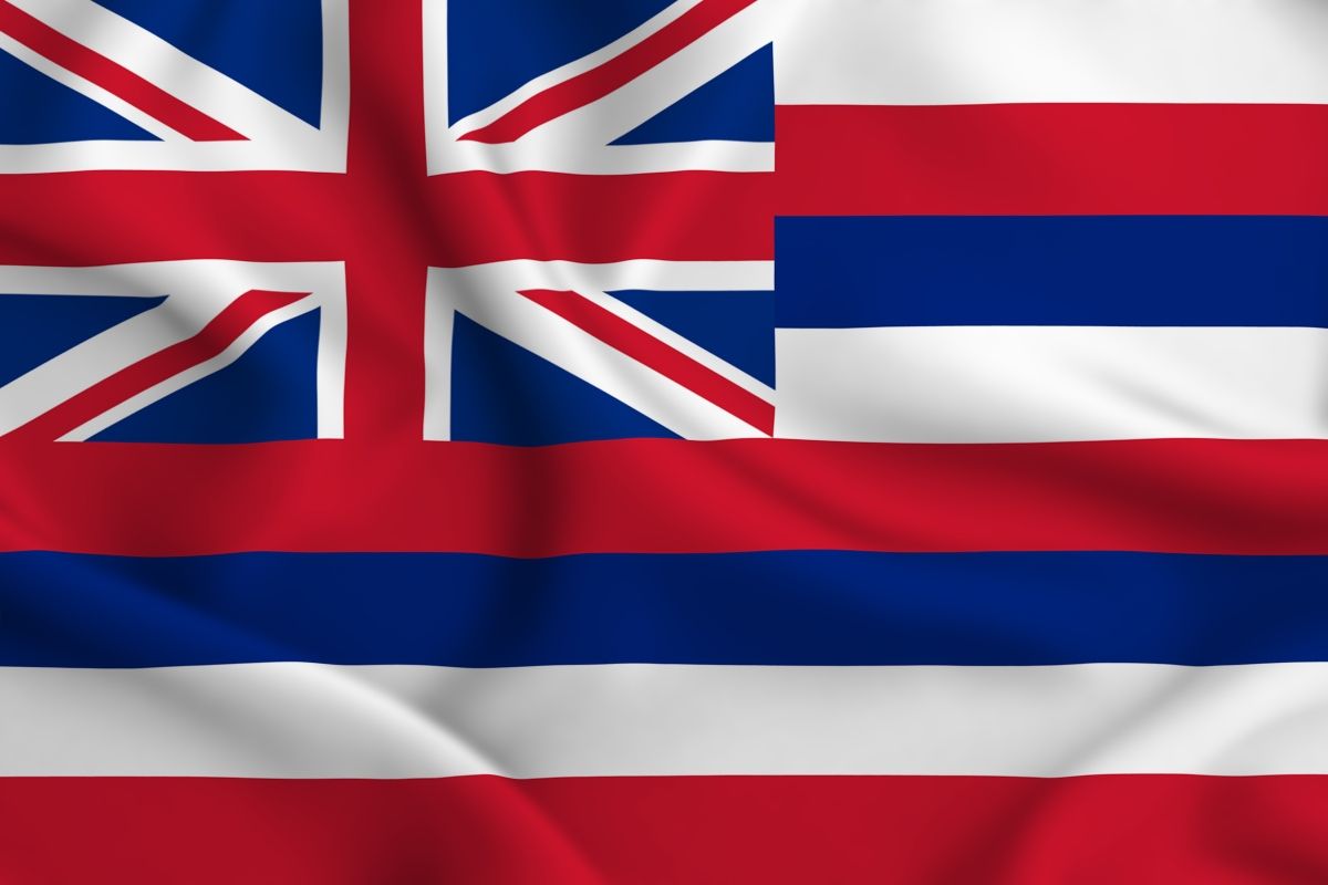 Hawaii state flag