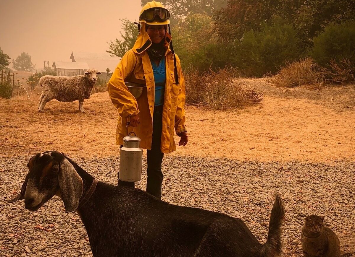 Image of Nikki Charneski milking goats during a California wildfire