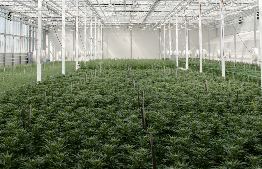 Image of Aurora Nordic's Denmark facility