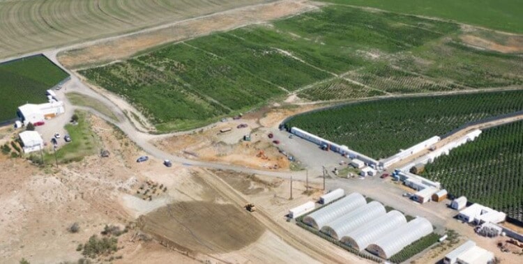 Image of Black Diamond Cannabis farm