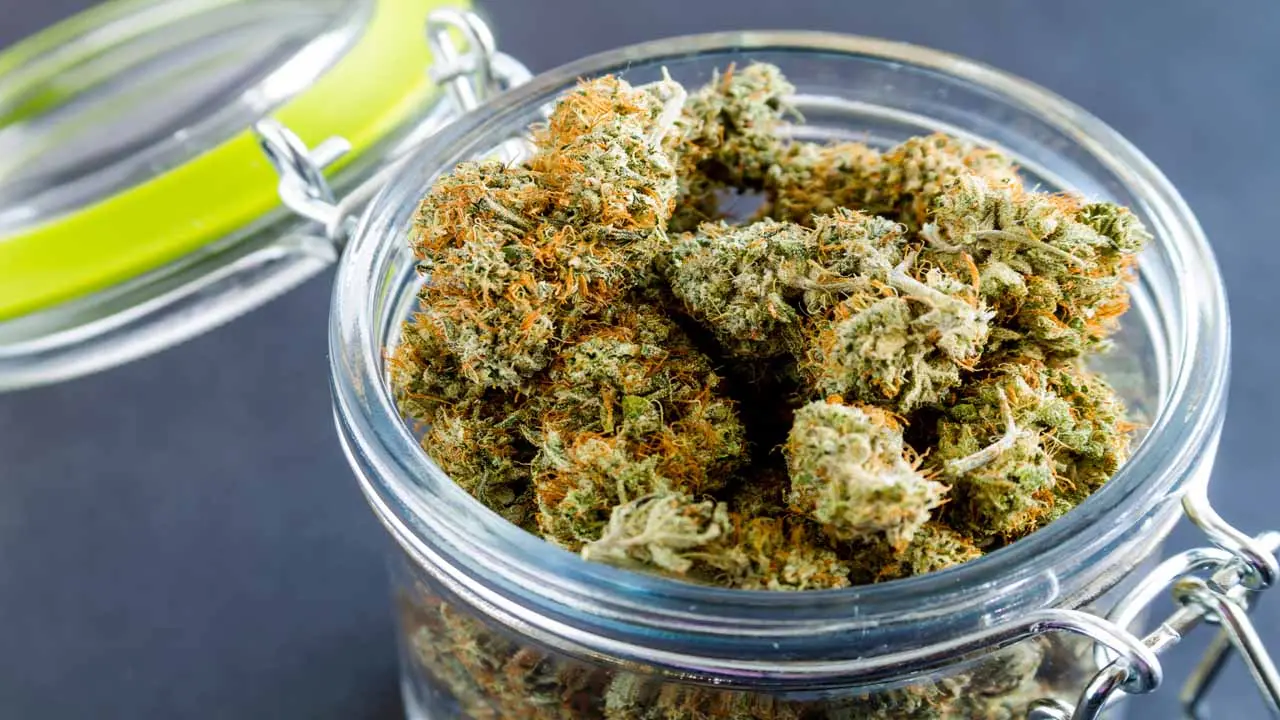 Image of a jar of marijuana buds