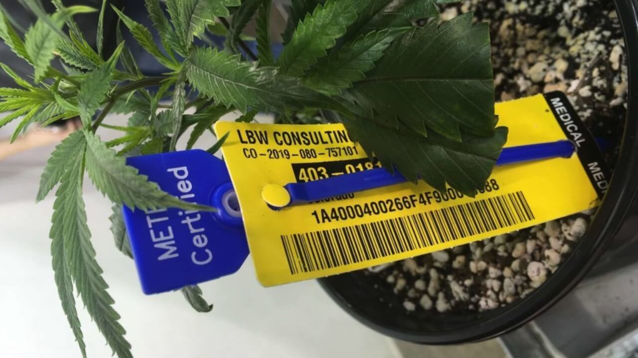 Image of seed-to-sale tags