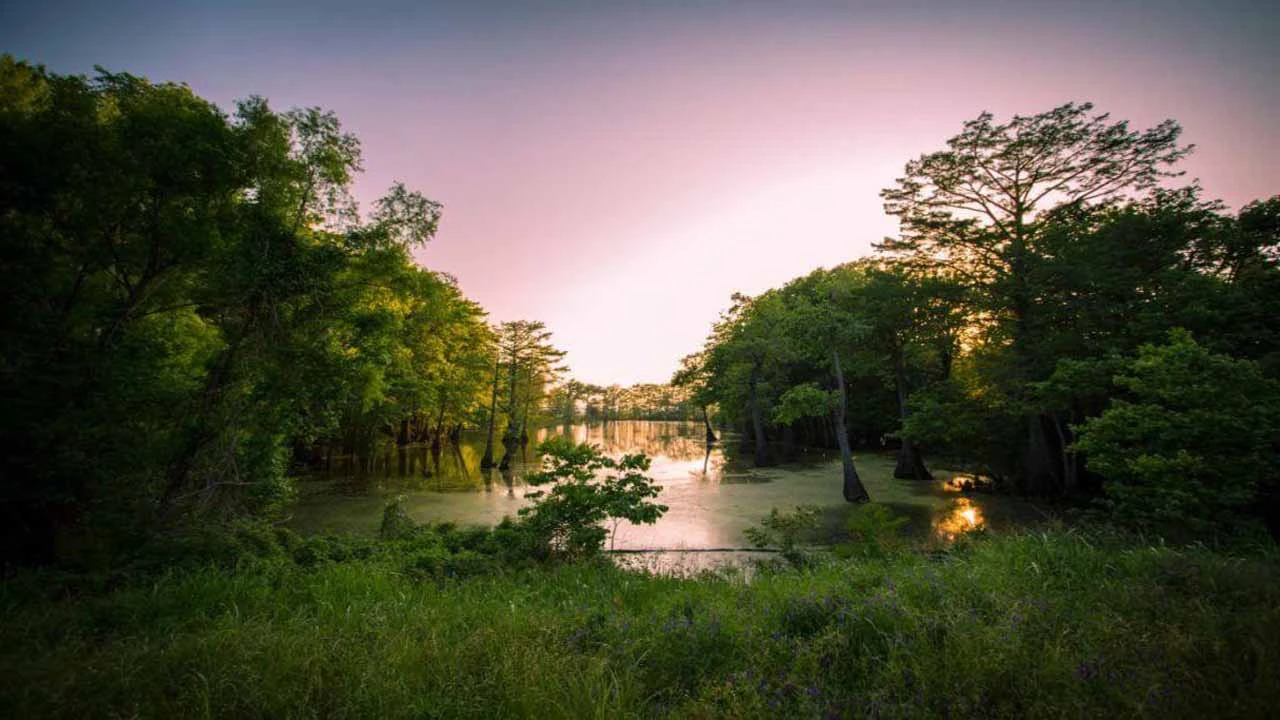 Image of scenic Mississippi